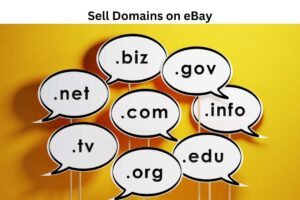 Sell Domains on eBay
